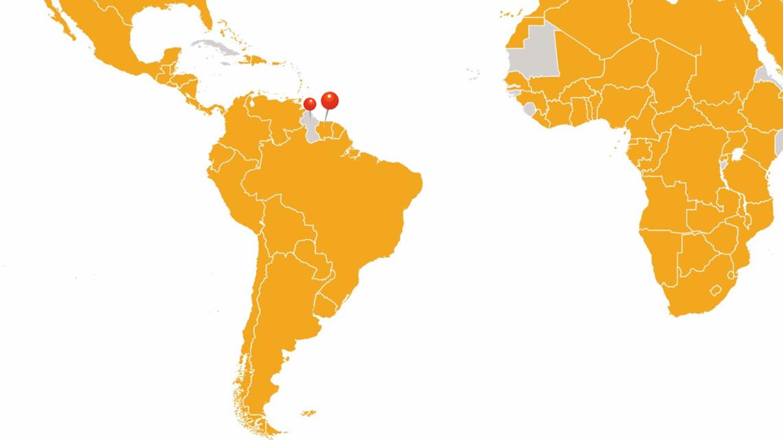 Crowe Suriname